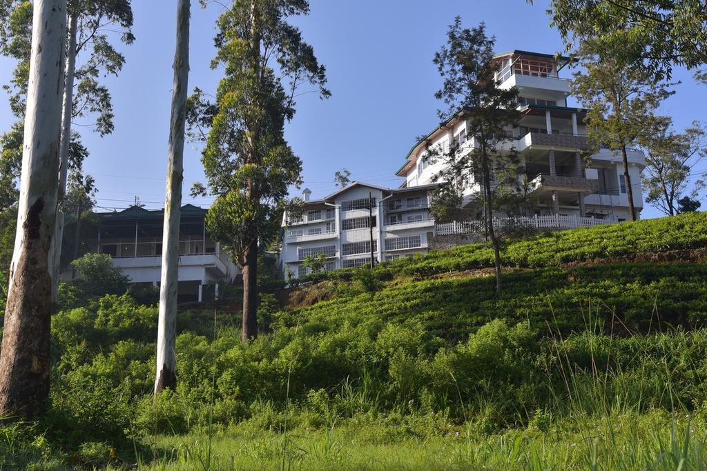 Tea Hills Bungalow ฮัตตอน ภายนอก รูปภาพ